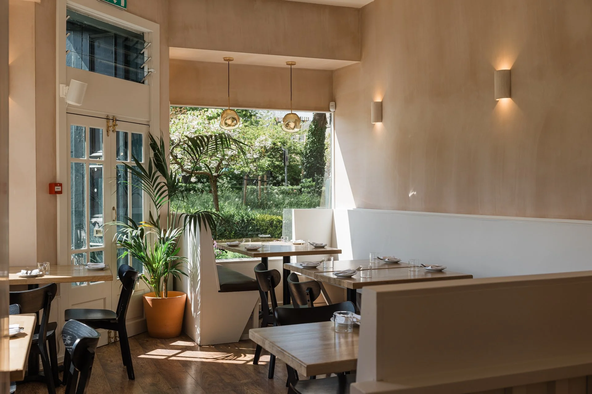The dining room after the 2025 refurbishment — warm lime-plaster walls, white panelled booths, oak tables and a palm by the glazed door